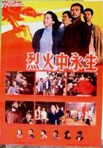 马尔凯理工大学Computer Science Diploma